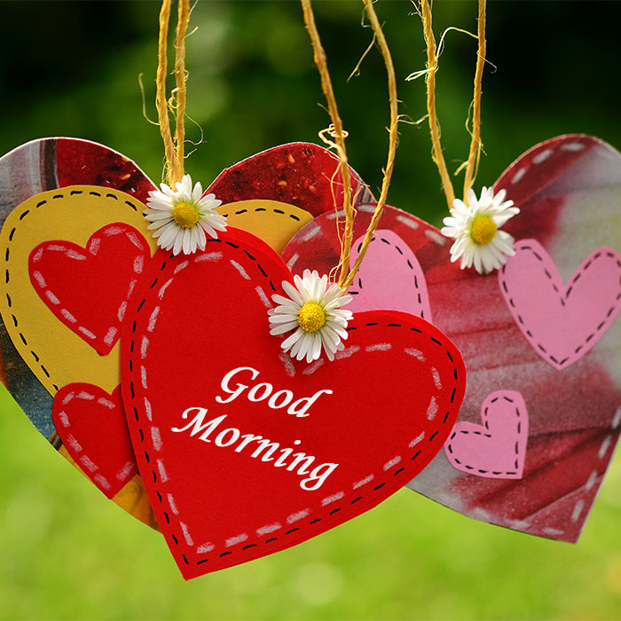 Good Morning Hd Wallpaper, Good Morning Wallpaper For - Love - HD Wallpaper 