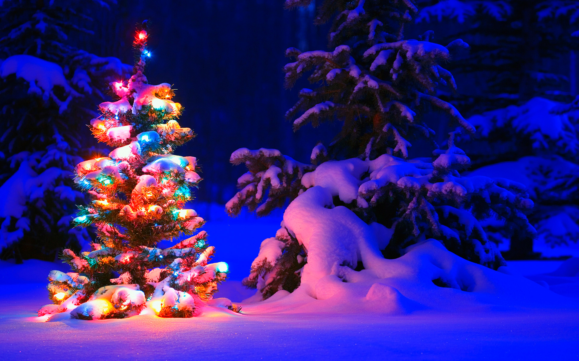 Christmas Wallpaper For Android Snowman - Snowy Christmas Tree With Lights - HD Wallpaper 