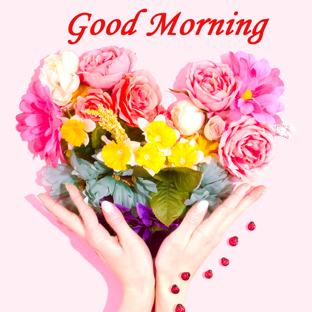 Good Morning Wallpaper For Lover, Latest Images Of - New Latest New Good Morning - HD Wallpaper 