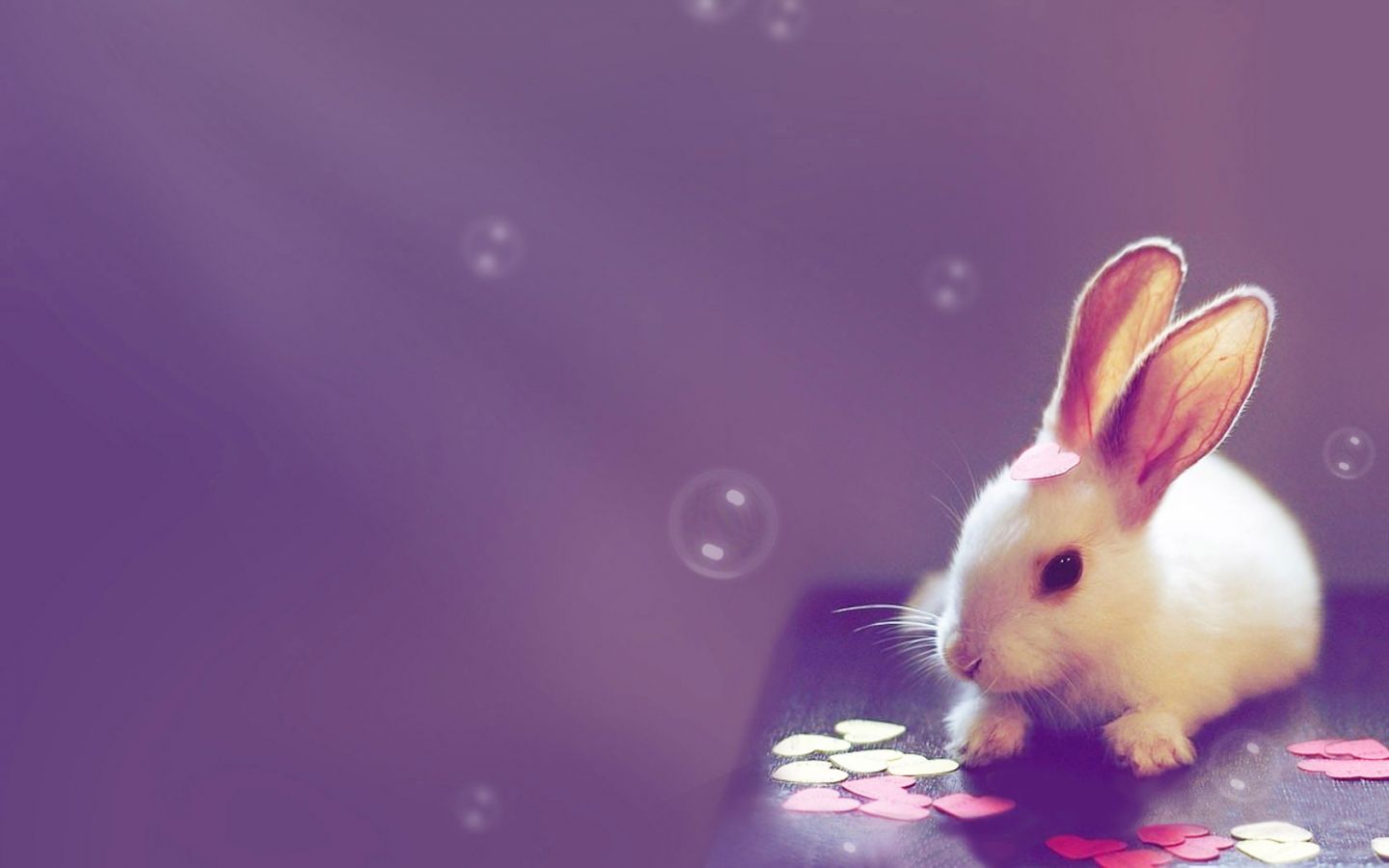 Cute Desktop Wallpaper - Cute Background Pictures For Desktop - 1440x900  Wallpaper 