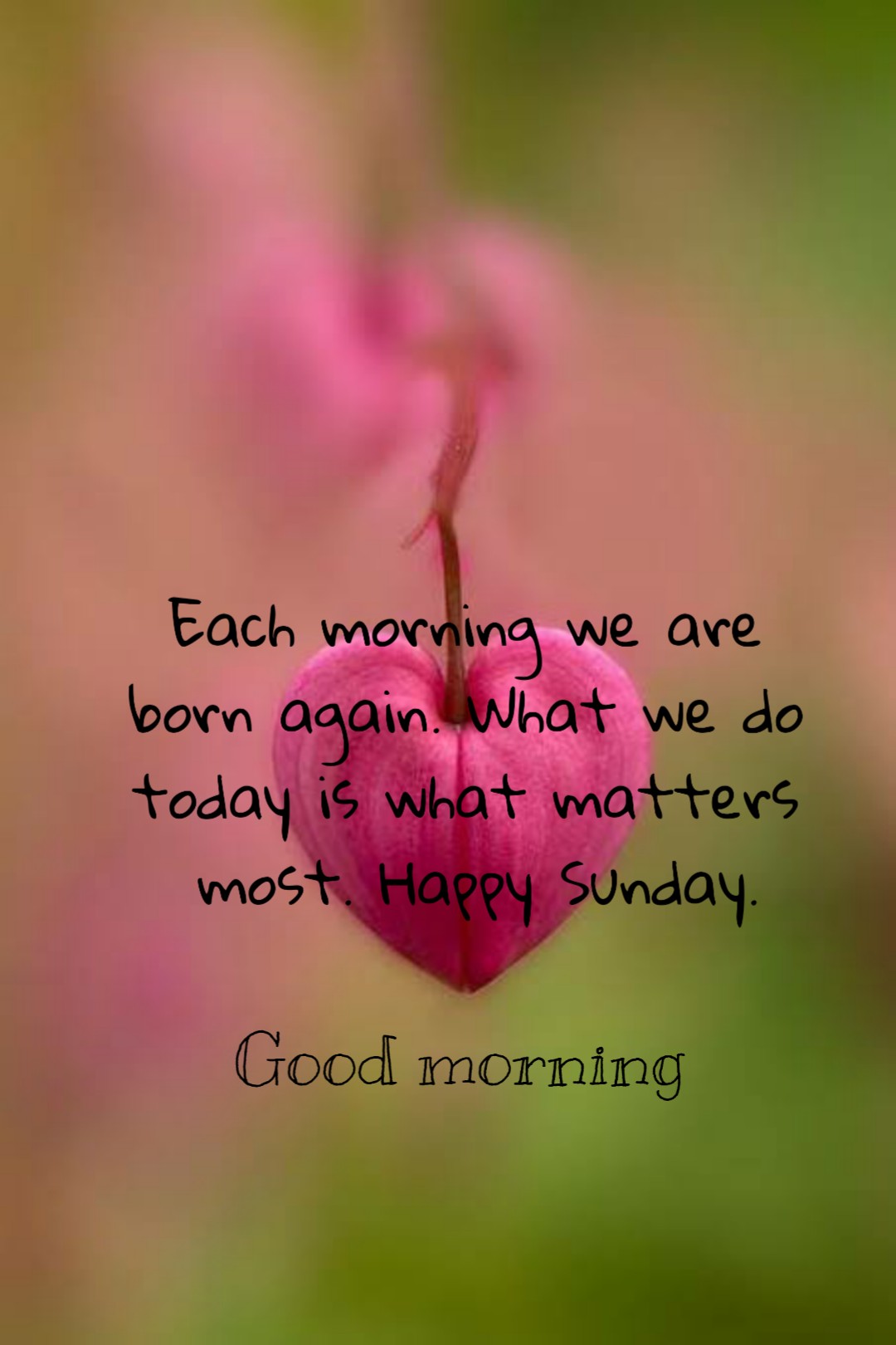 Sunday Good Morning Wallpaper - Good Morning Happy Sunday - HD Wallpaper 