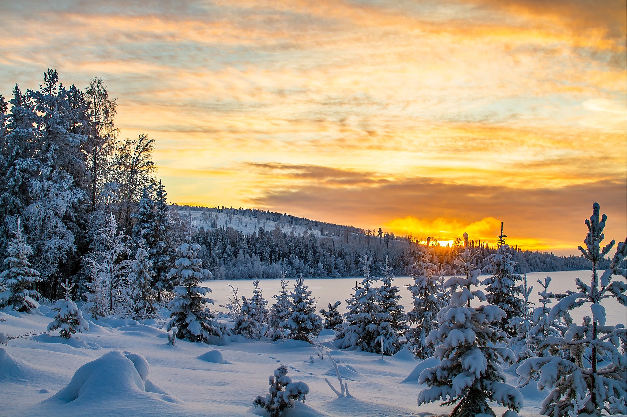 Christmas Wallpaper - HD Wallpaper 