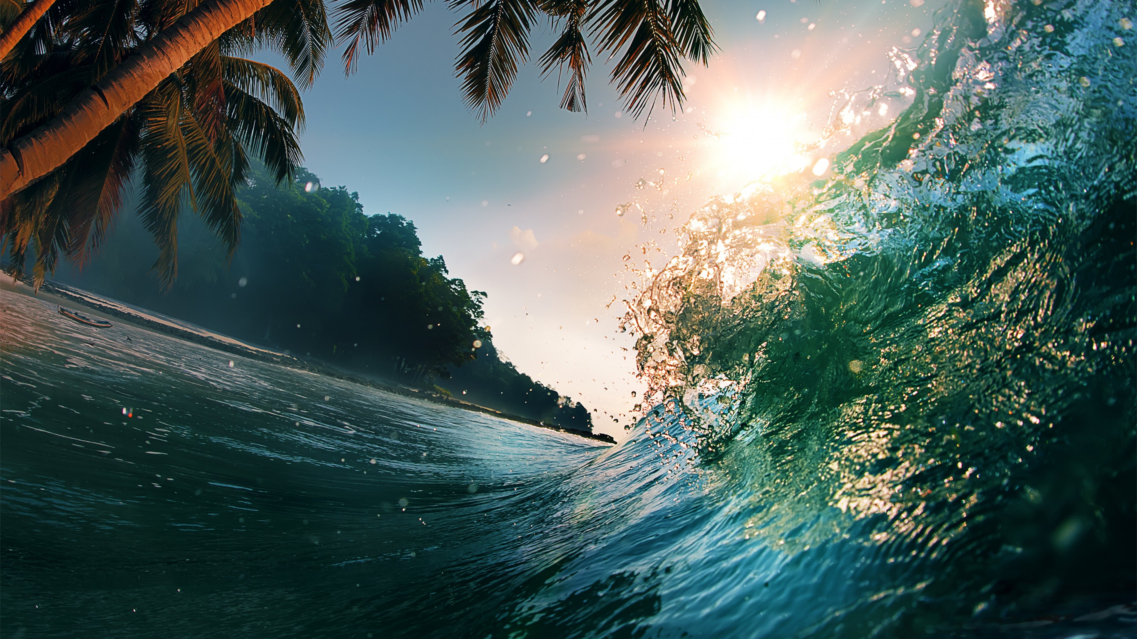 Palm Tree And Waves - HD Wallpaper 