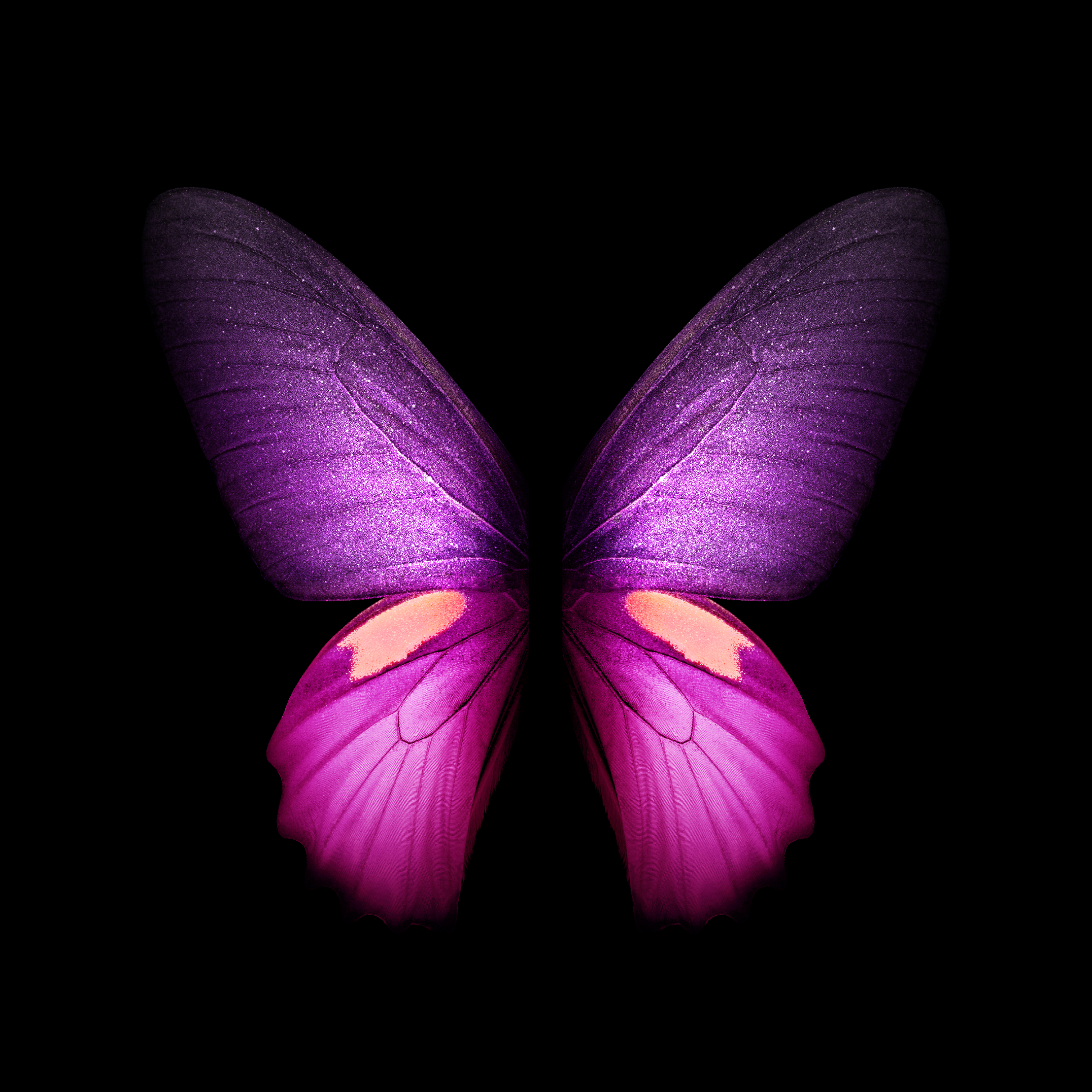Butterfly Wallpaper Iphone X 2152x2152 Wallpaper Teahub Io