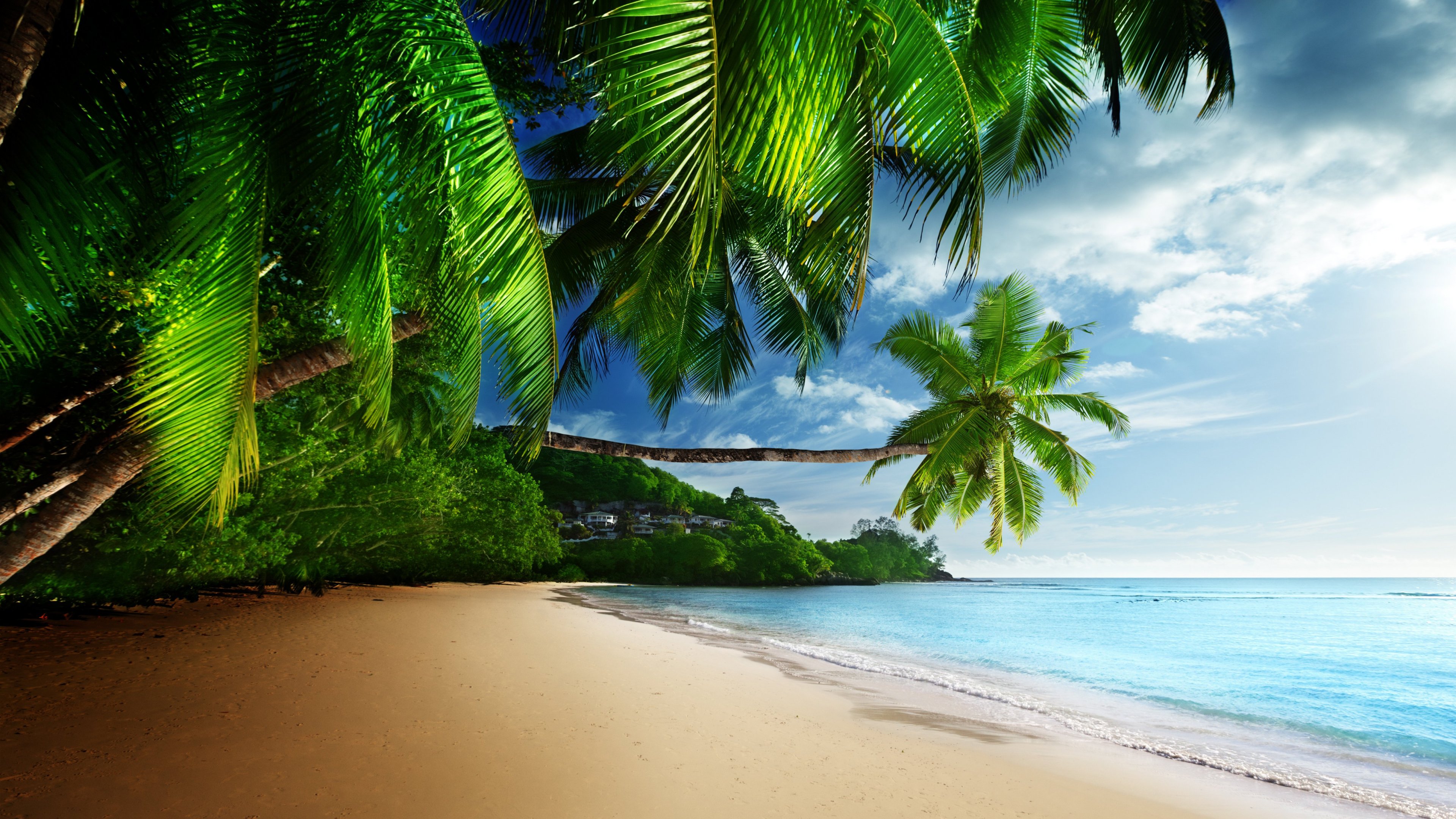 Tropical Beach Paradise - HD Wallpaper 