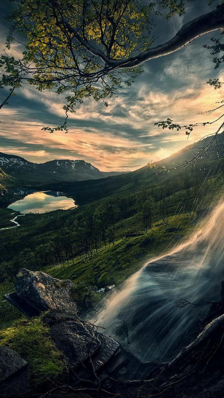 Zedge Wallpaper Hd Download