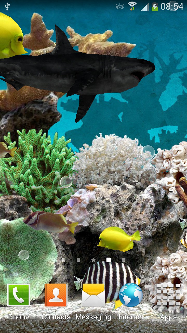 Marine Aquarium - HD Wallpaper 