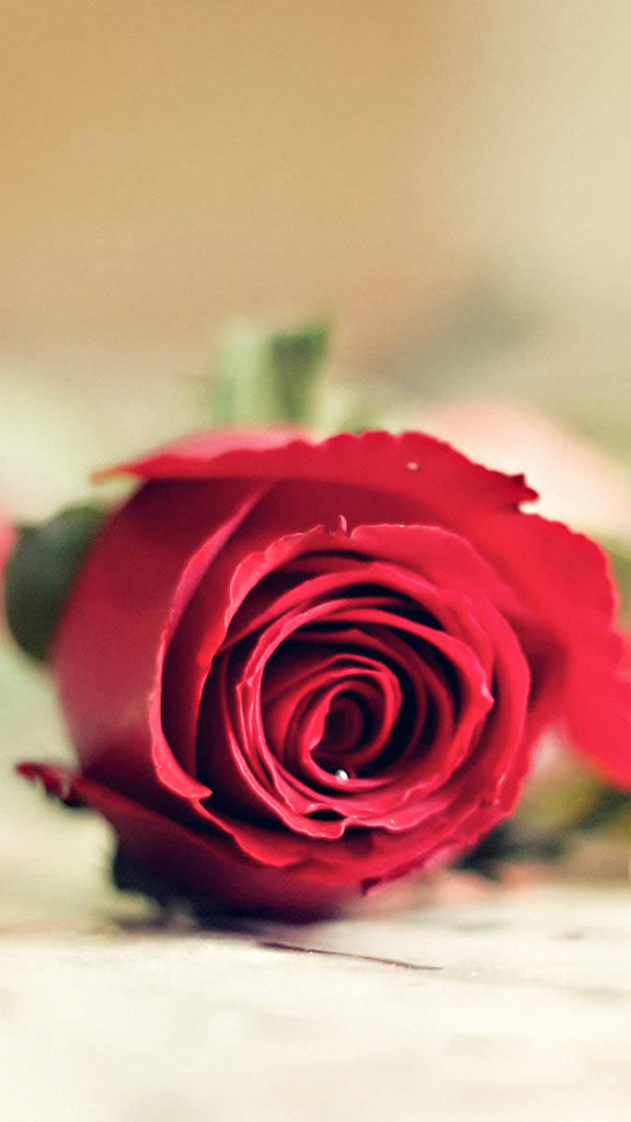 Love Romantic Hd Wallpaper For Mobile - 576x1024 Wallpaper Love Romantic Hd Wallpaper For Mobile - 576x1024 Wallpaper