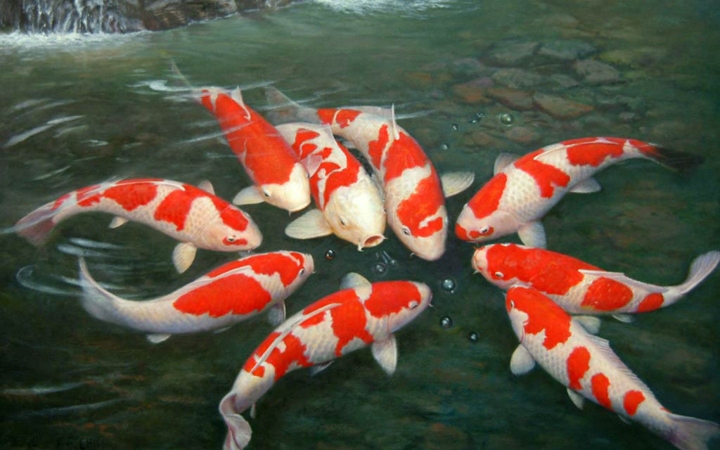 Live Fish Wallpaper For Pc Koi Fish Painting 3d Wallpaper - 3d Fish Live Wallpaper For Pc - 1440x900 Wallpaper Live Fish Wallpaper For Pc Koi Fish Painting 3d Wallpaper - 3d Fish Live Wallpaper For Pc - 1440x900 Wallpaper