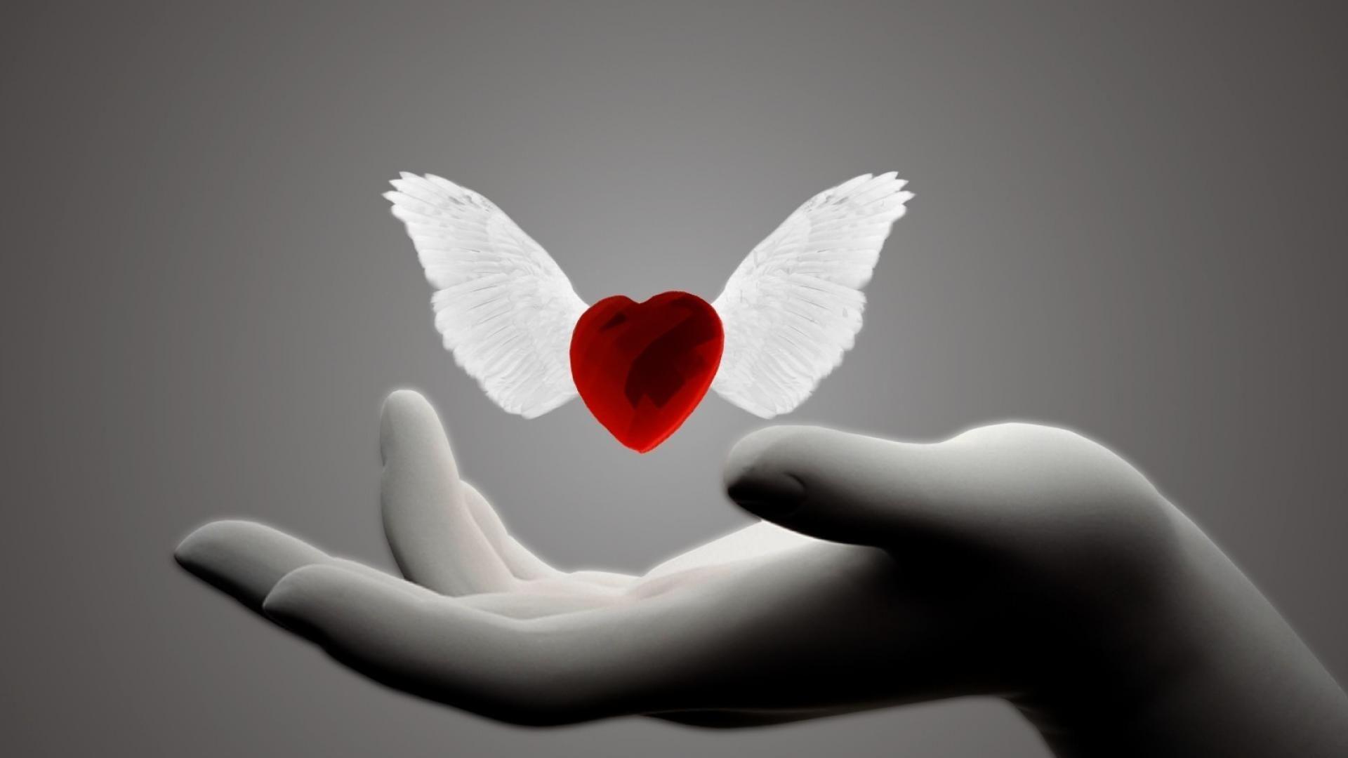 Loving Heart Backgrounds Wallpapers Hd - Heart With Wings In Hand - HD Wallpaper 