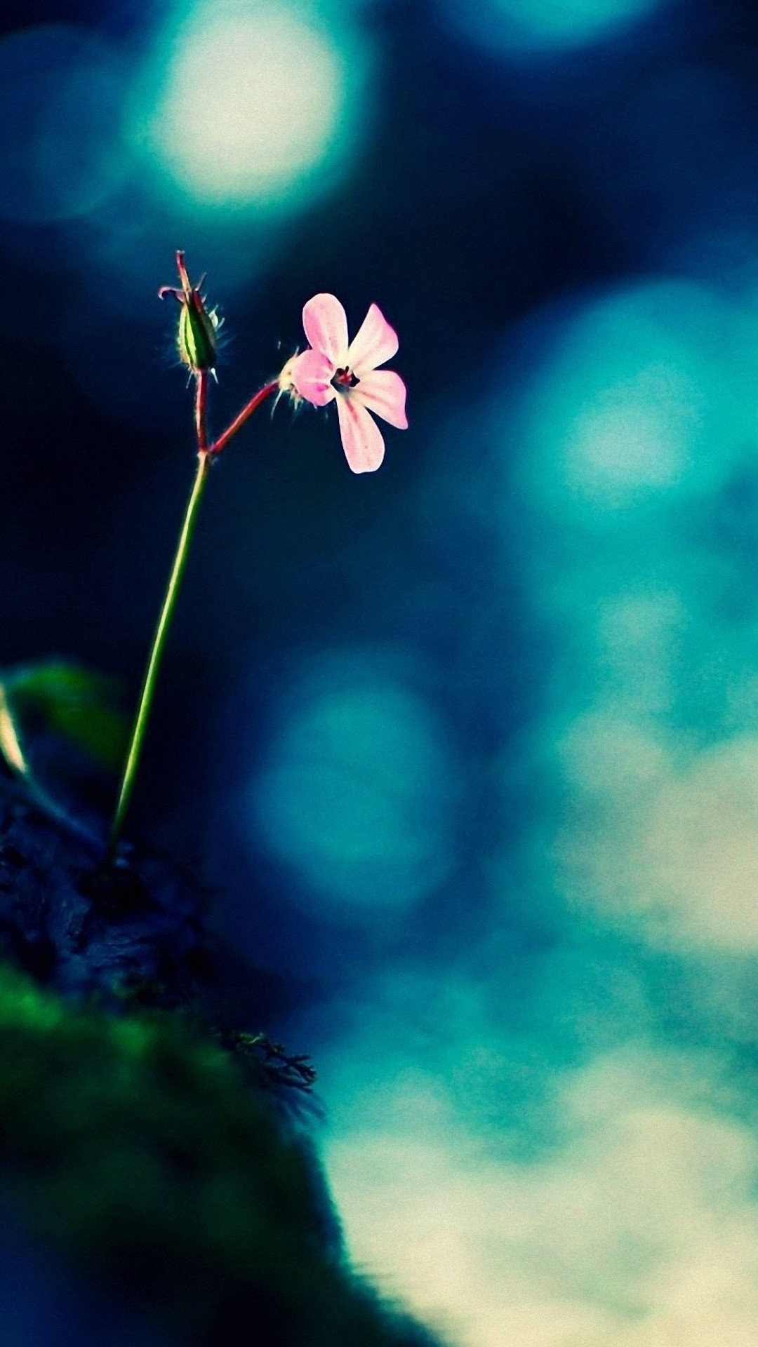 Hd Wallpapers For Android Mobile Full Screen With Hd - Nice Wallpaper Hd Full Screen - 1080x1920 Wallpaper Hd Wallpapers For Android Mobile Full Screen With Hd - Nice Wallpaper Hd Full Screen - 1080x1920 Wallpaper