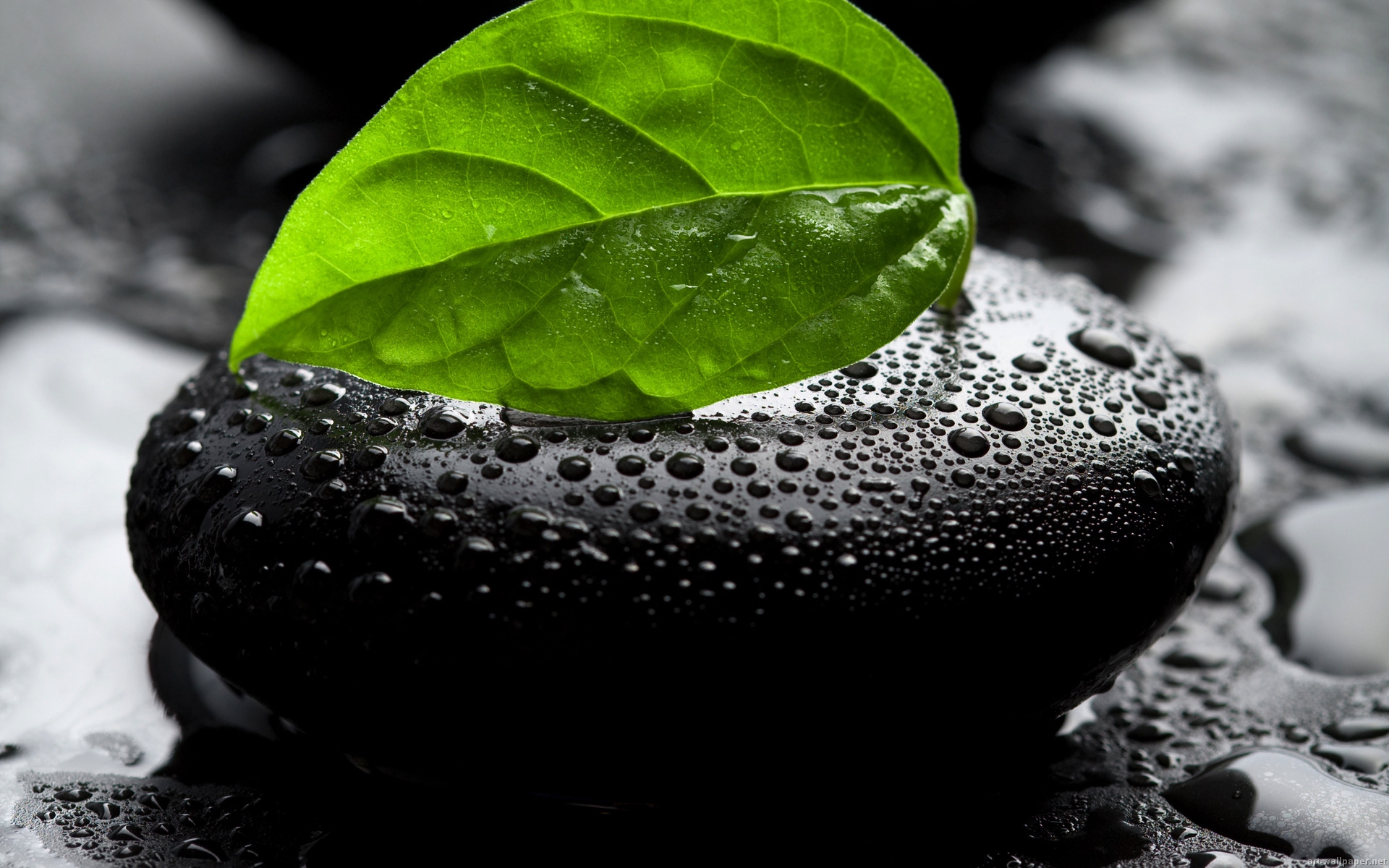Full Screen Hd Wallpaper 4k - 1920x1200 Wallpaper Full Screen Hd Wallpaper 4k - 1920x1200 Wallpaper