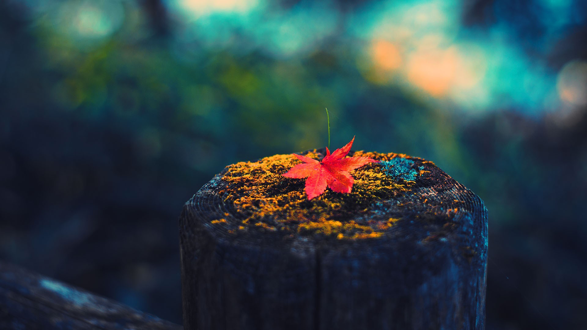 Desktop Wallpaper Hd Autumn - HD Wallpaper 