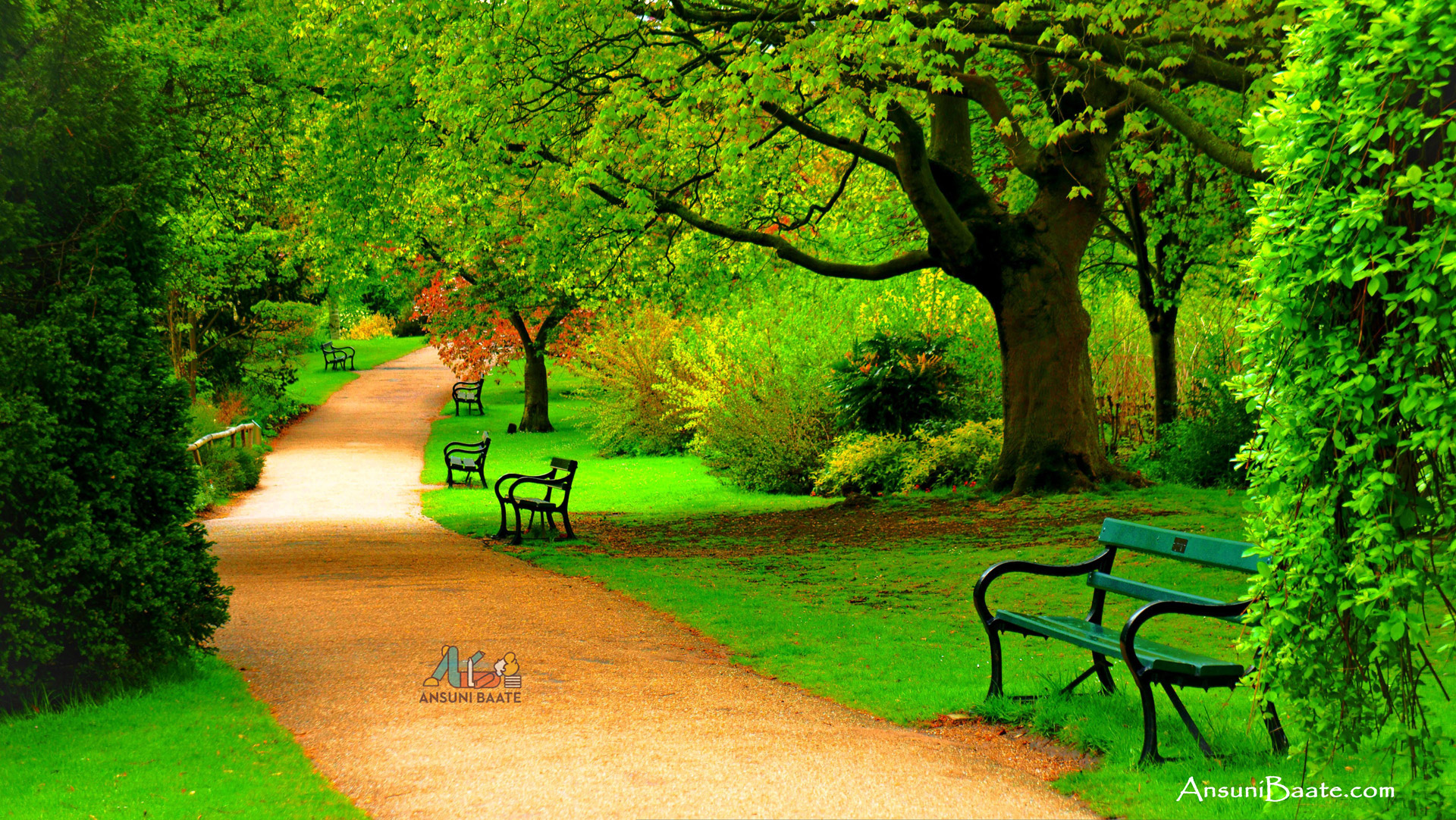 Nature Wallpaper With Flowers Image, Good Morning Photo, - Park Background Hd - 1920x1082 Wallpaper Nature Wallpaper With Flowers Image, Good Morning Photo, - Park Background Hd - 1920x1082 Wallpaper
