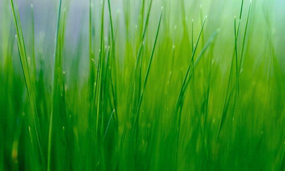 Photography - HD Wallpaper 