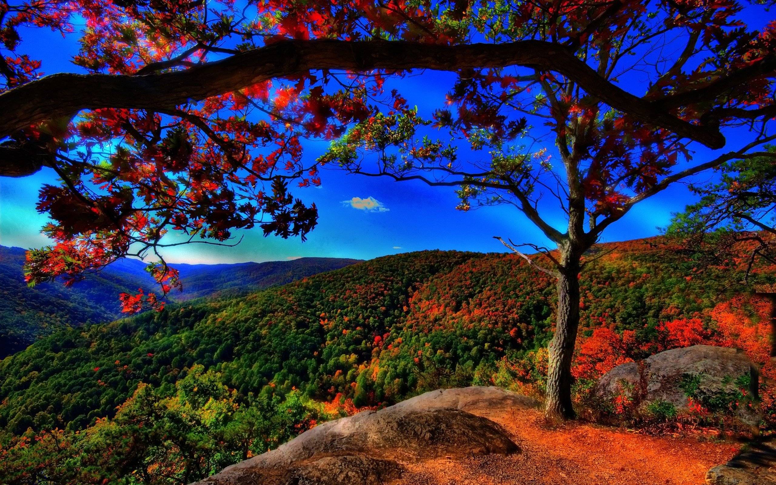Nature Images Free Download For Pc 212 Full Hd Wallpaper - Full Hd Wallpaper Nature - 1920x1080 Wallpaper Nature Images Free Download For Pc 212 Full Hd Wallpaper - Full Hd Wallpaper Nature - 1920x1080 Wallpaper