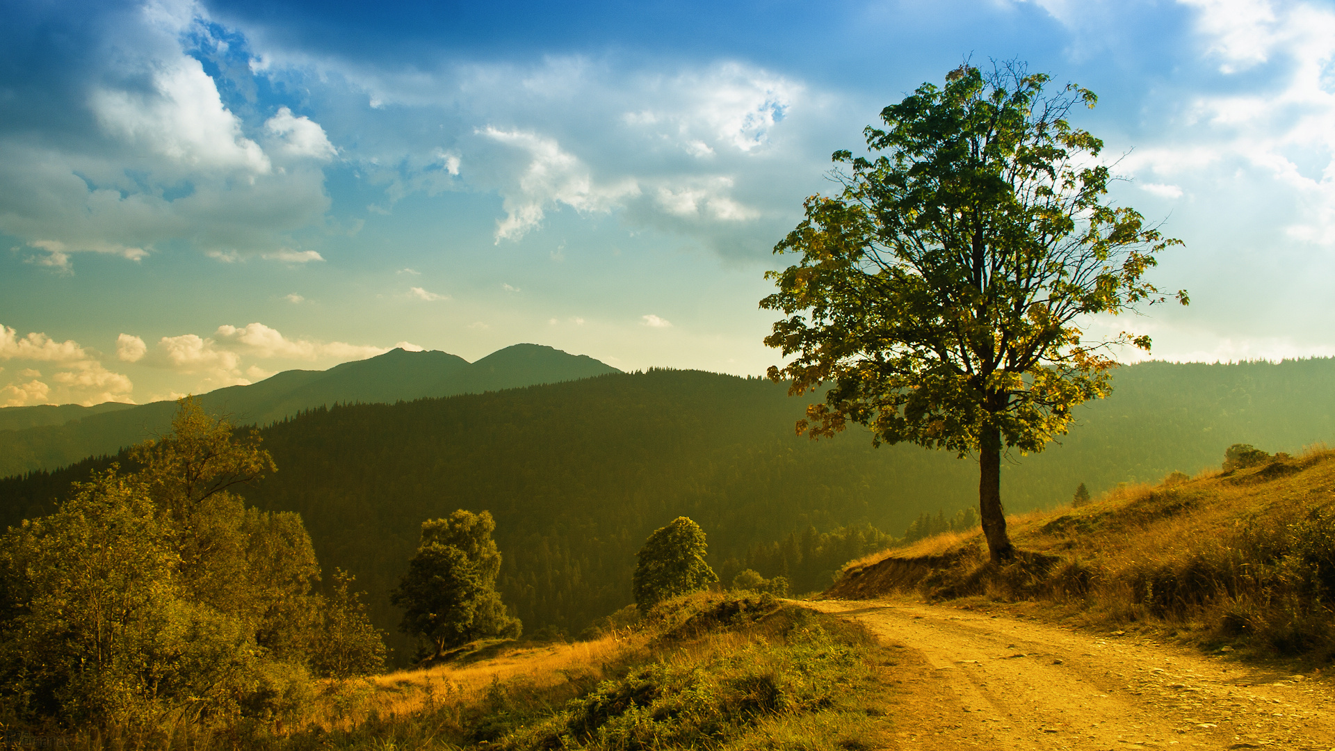 Best Nature Pictures Hd - 1920x1080 Wallpaper Best Nature Pictures Hd - 1920x1080 Wallpaper