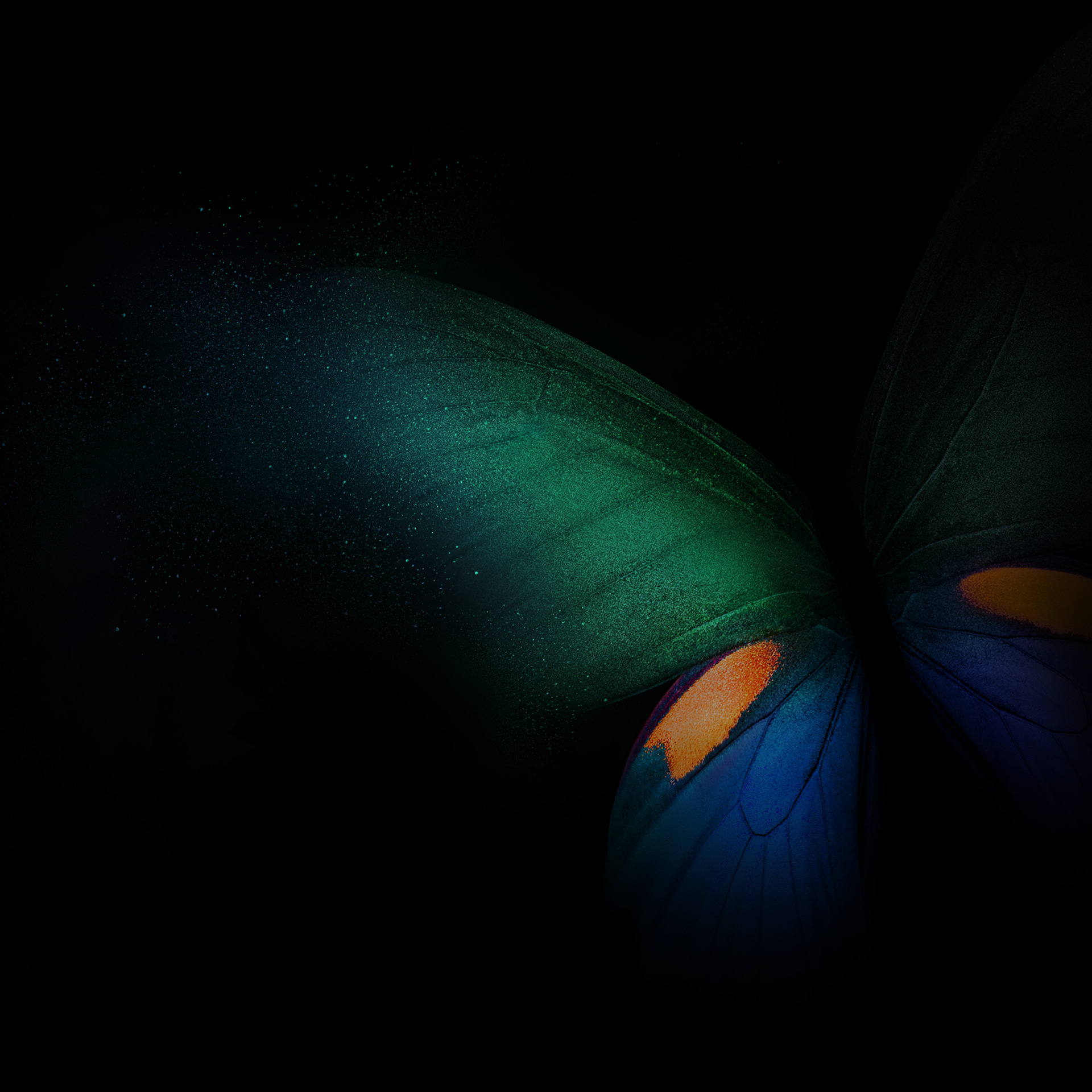My Image 31