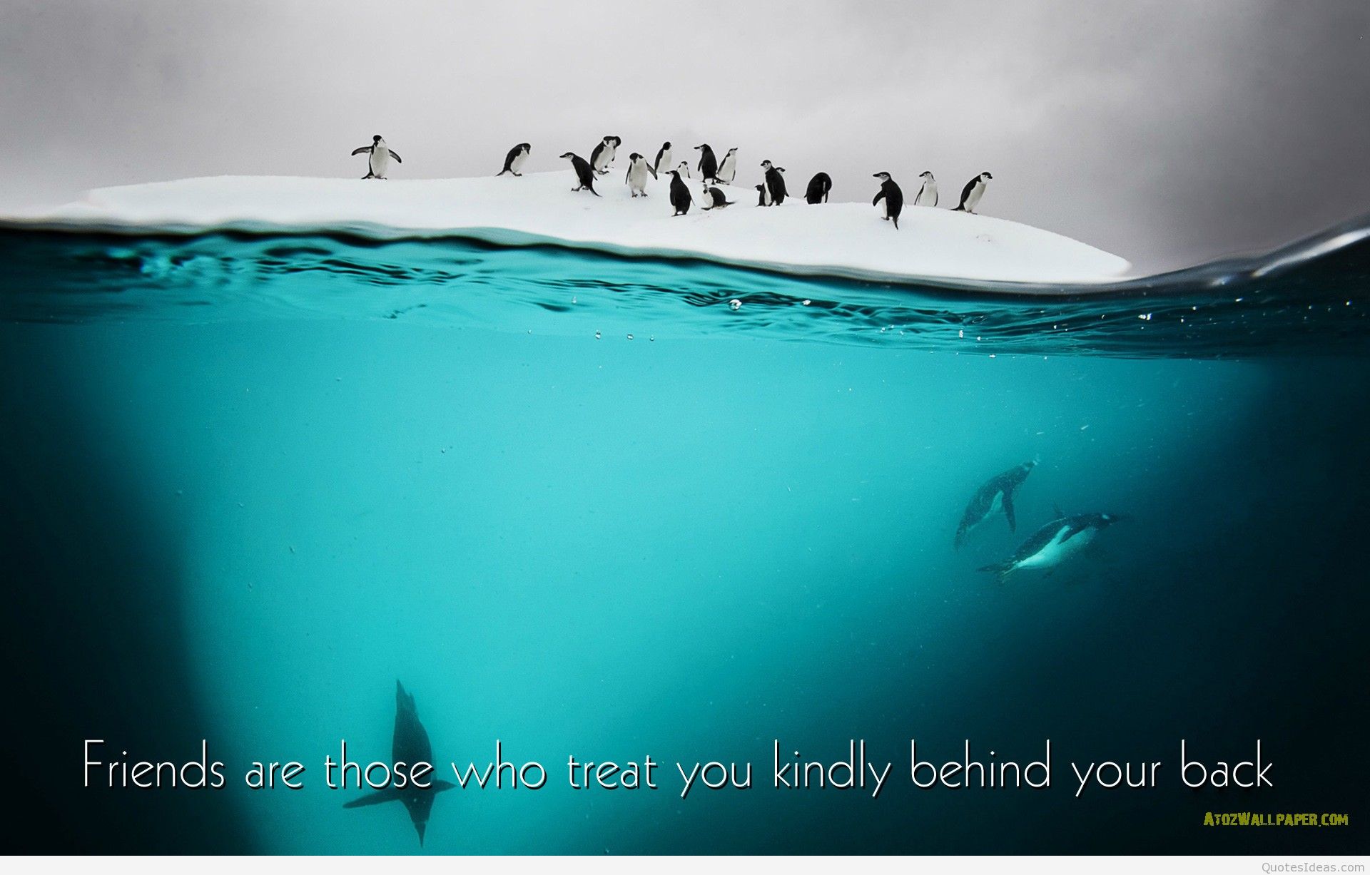 Whatsapp Wallpaper Hd With Quotes - HD Wallpaper 