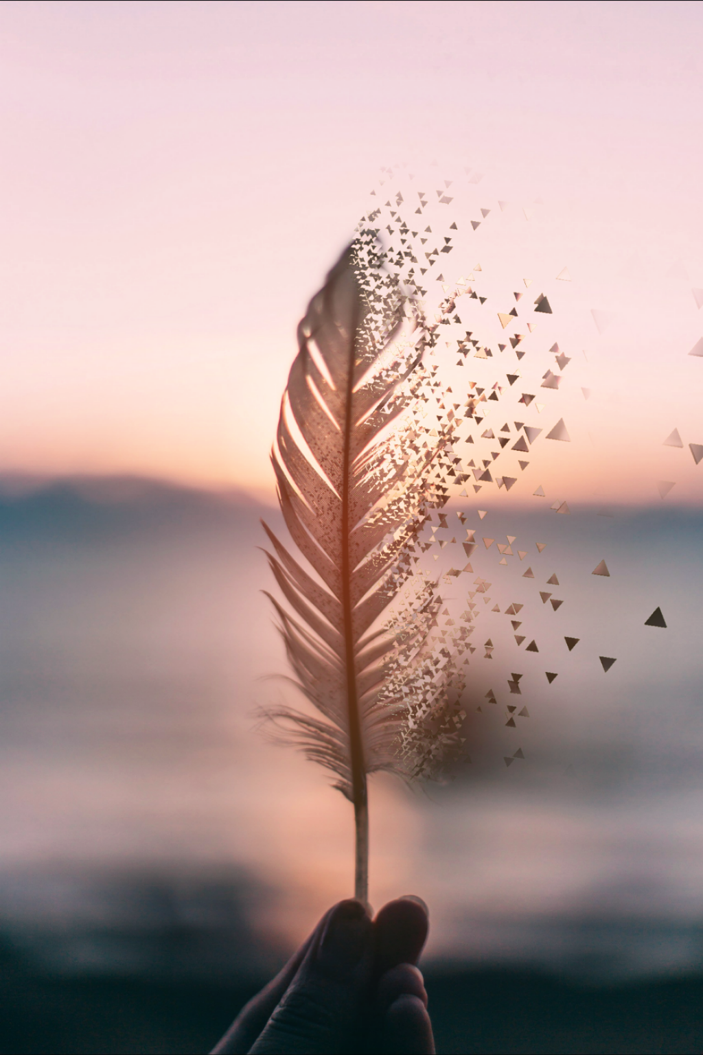 Photography Tumblr Wallpaper - Feather Blowing In The Wind - 1024x1537  Wallpaper - teahub.io