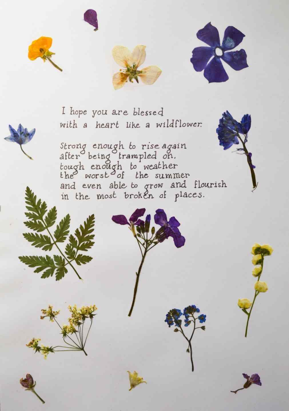 Aesthetic Clipart Iphone 6 Wallpaper Tumblr - Hope You Are Blessed With A Heart Like A Wildflower - HD Wallpaper 