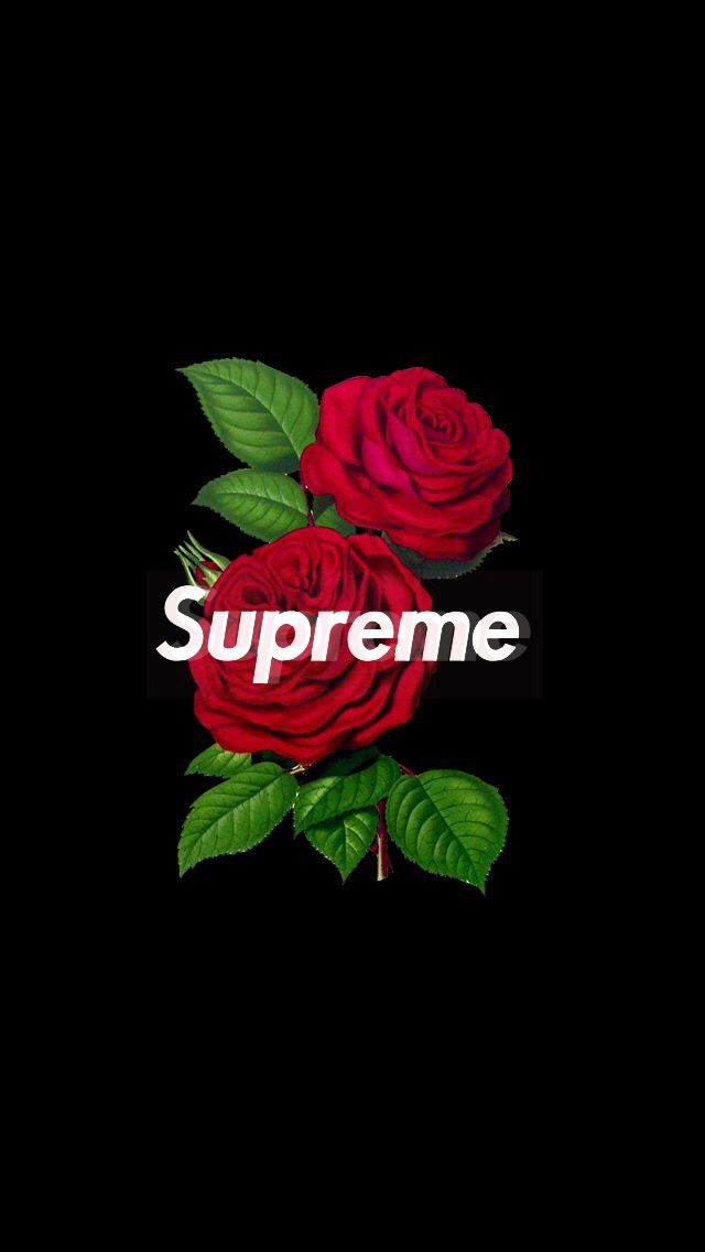 #supreme #rose #wallpaper #iphone - Aesthetic Wallpaper Rose - HD Wallpaper 