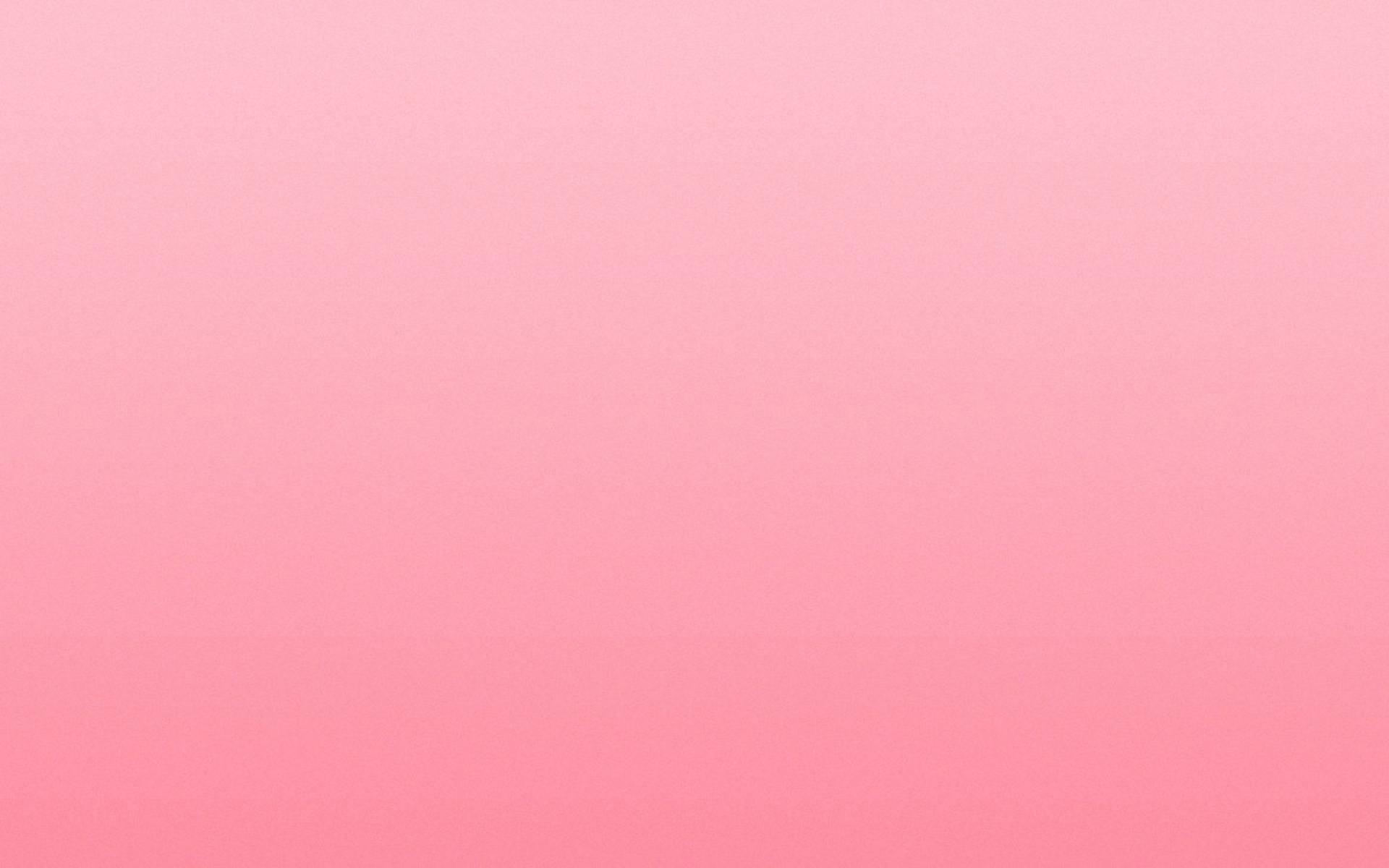 Fondo De Pantalla Rosa - HD Wallpaper 