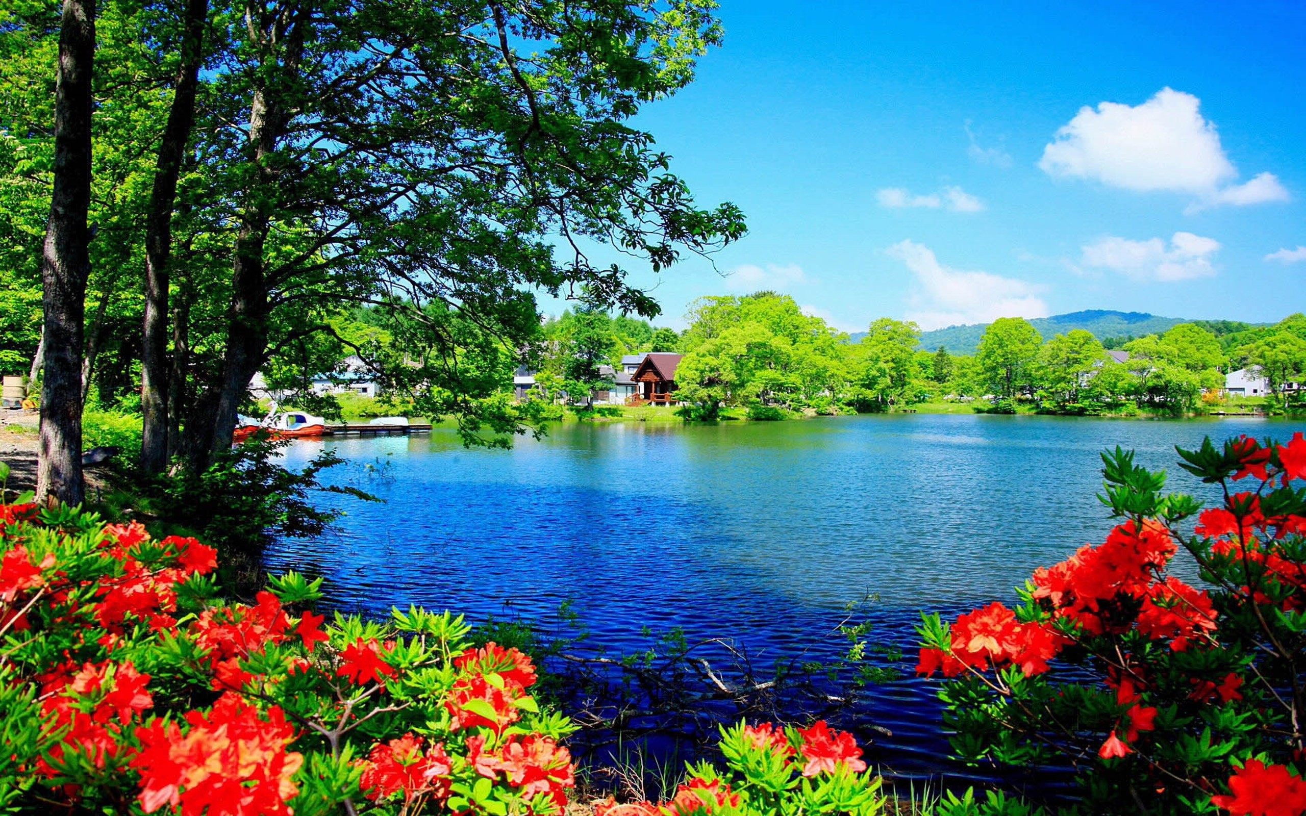 Scenery