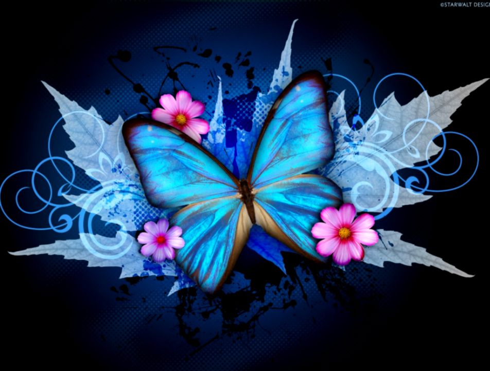 Blue Butterfly Wallpaper 9150 Hd Wallpapers In Cute - 952x721 Wallpaper -  