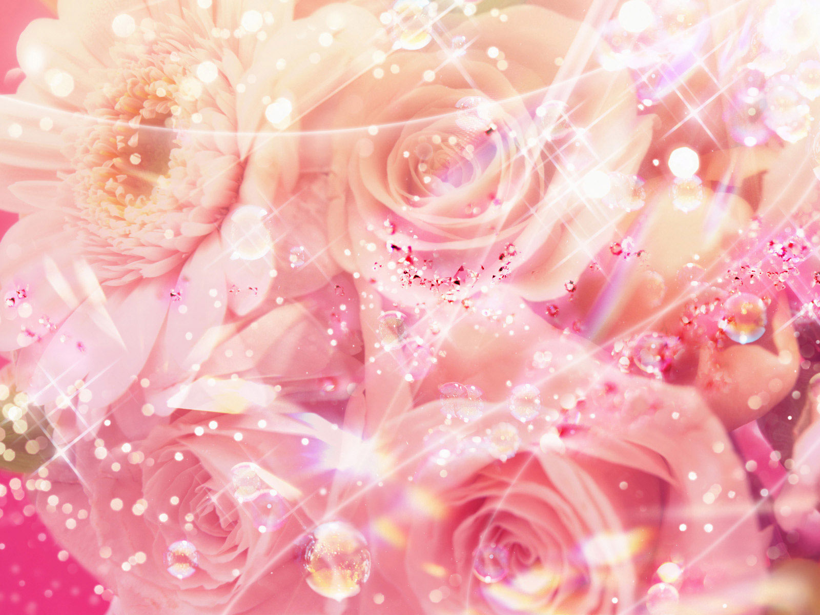 Pretty Pink Rose Wallpaper - Pretty Pink Roses Background - HD Wallpaper 