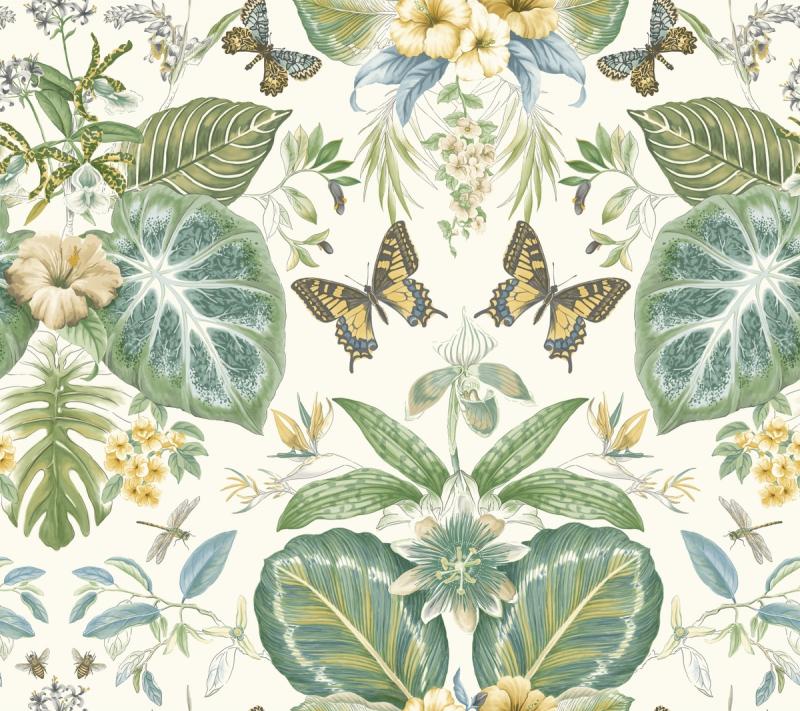 Tropical Butterflies On1601 York Wallpaper On1601 - York Wallcovering On1603 - HD Wallpaper 