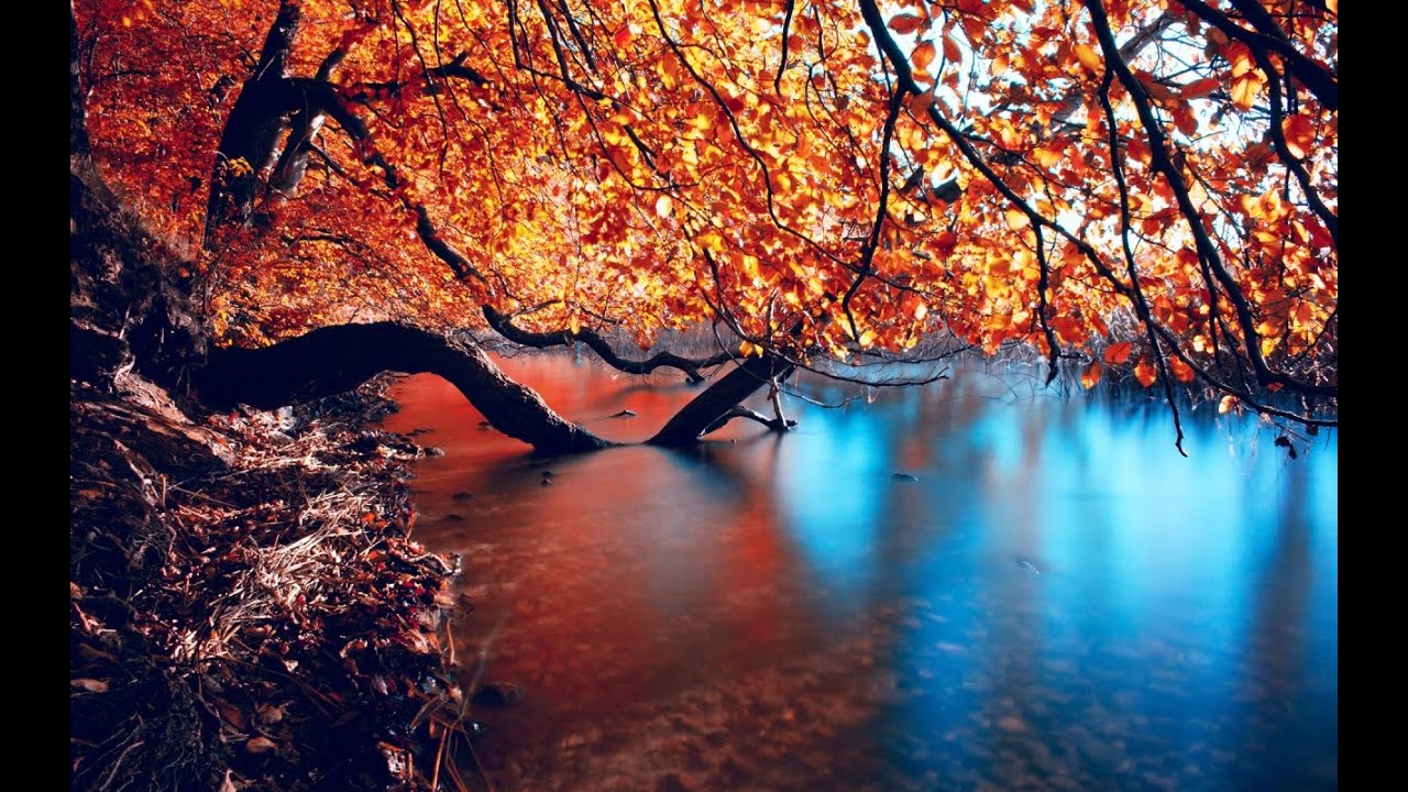 Hd Wallpaper Autumn - HD Wallpaper 