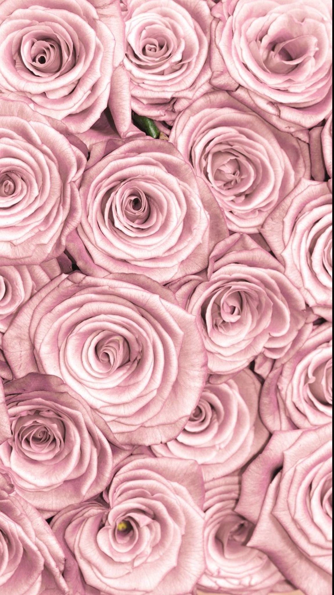 1150x2048, Flowers Lockscreen Rose Gold 
 Data Id 15730 - Rose Gold Phone Backgrounds - HD Wallpaper 