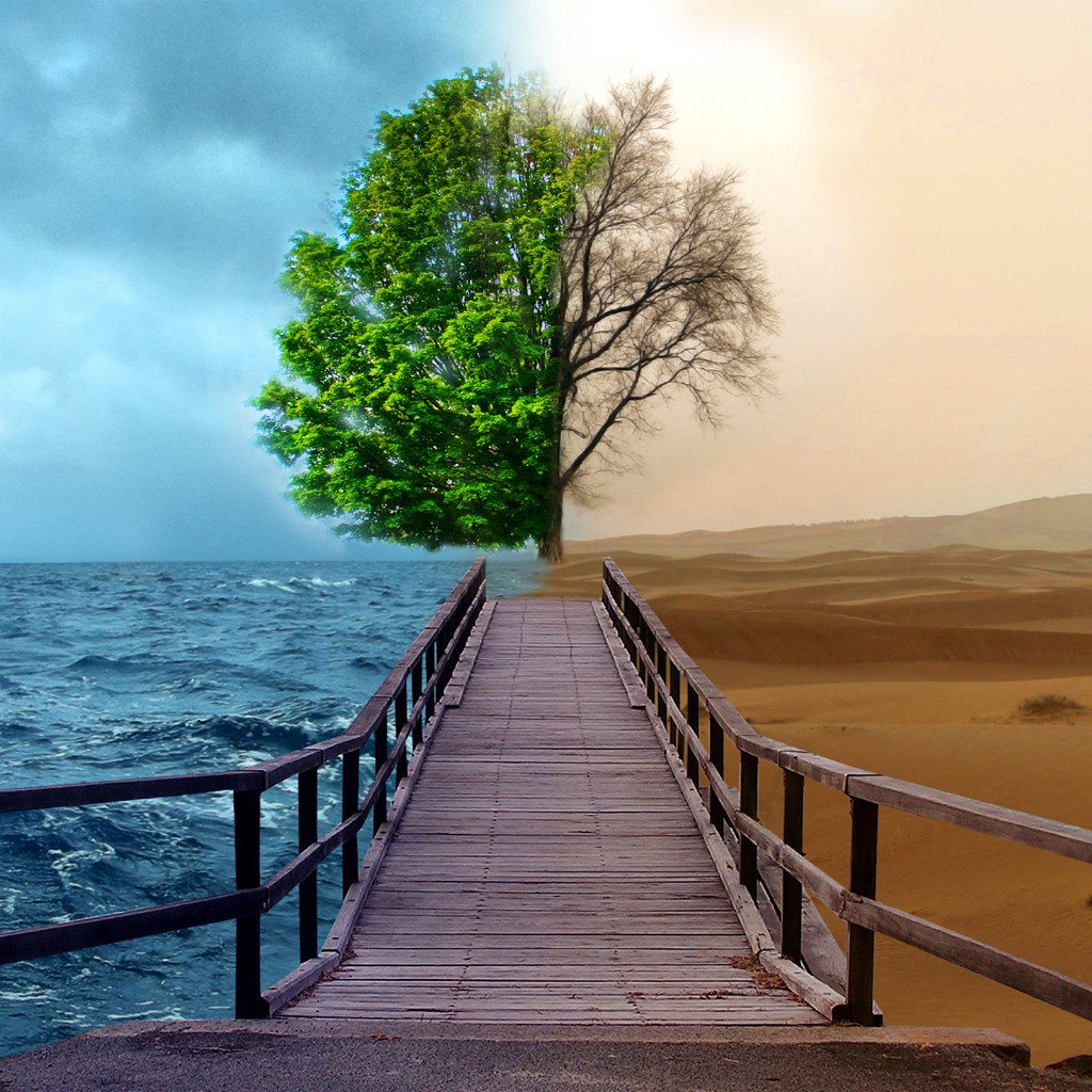 1080p Hd Wallpapers - Before And After Nature - HD Wallpaper 