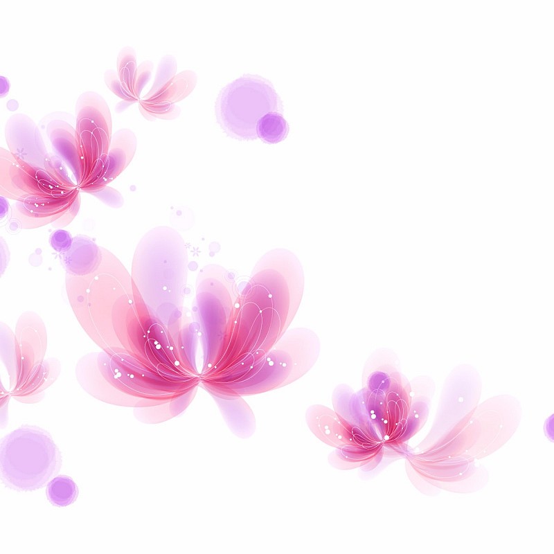 Butterfly Light Pink Flower Butterfly Wallpaper - New Flower Wallpaper Light - HD Wallpaper 