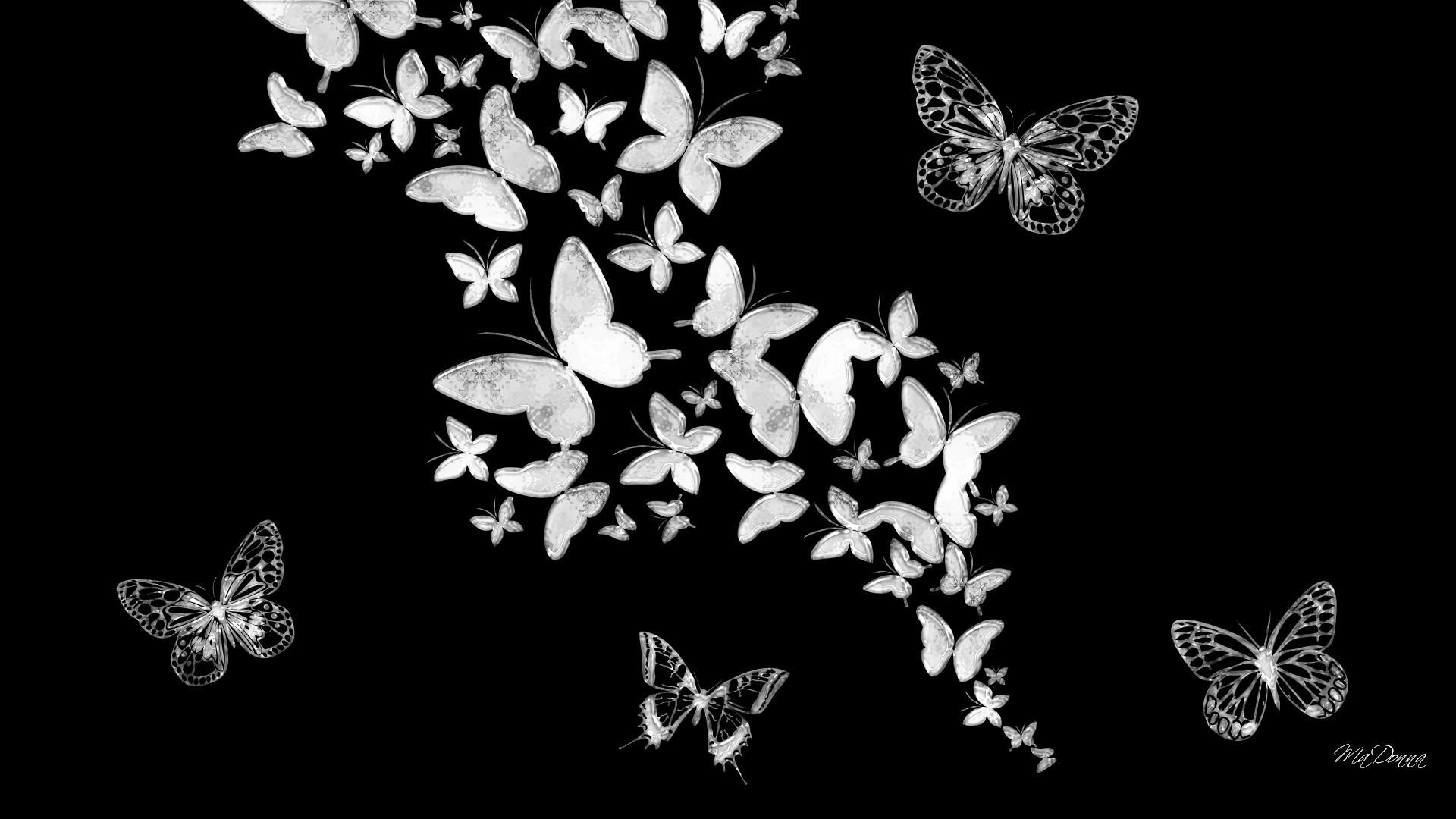 Download Wallpaper Â - Butterflies Black And White - HD Wallpaper 
