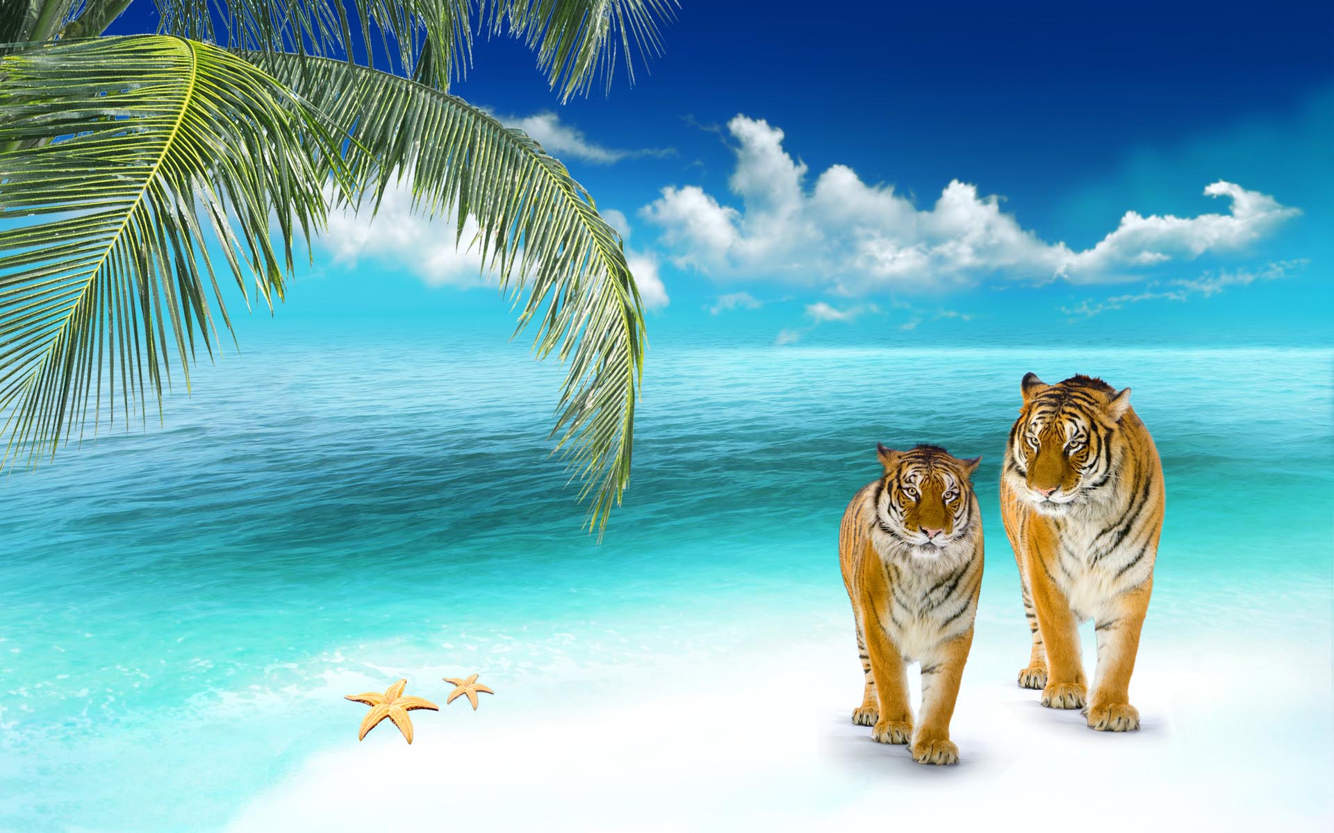 3d Beach Wallpapers - Tigers On The Beach - HD Wallpaper 