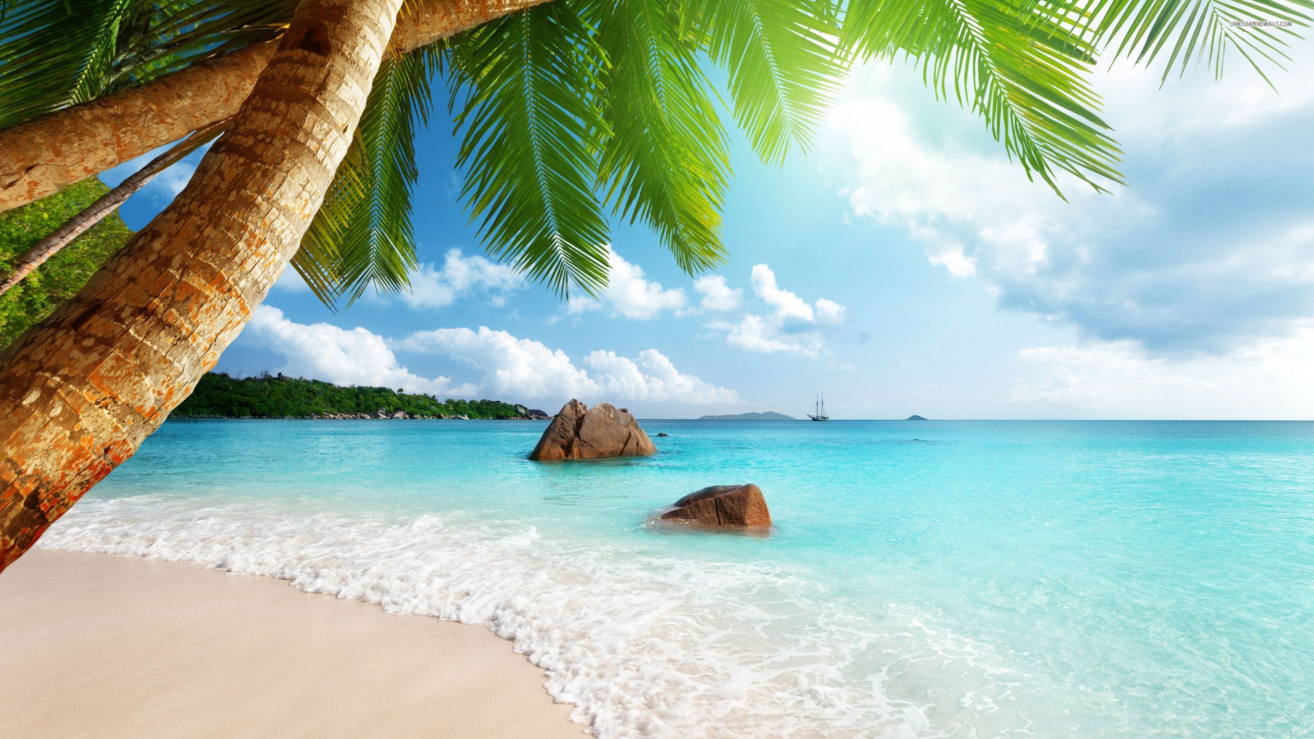 Hi Res Beach Wallpaper - Beach Paradise - 2560x1440 Wallpaper - teahub.io