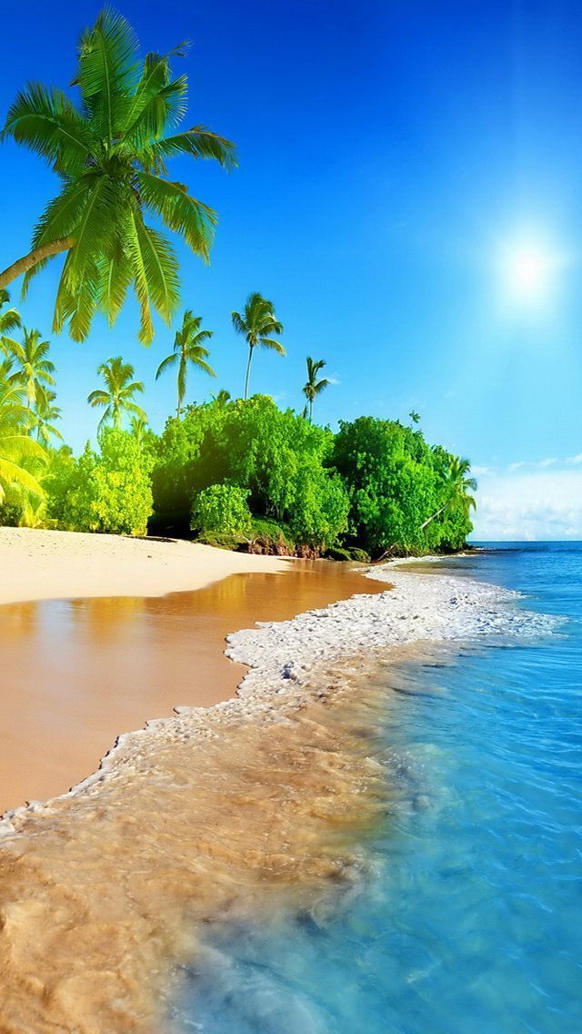 Tropical Beach Phone Background - HD Wallpaper 