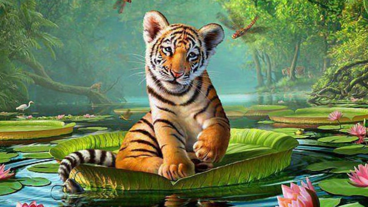 Animal Wallpapers, Animal Planet, Desktop Images, Free - Desktop Backgrounds Hd Animals - HD Wallpaper 