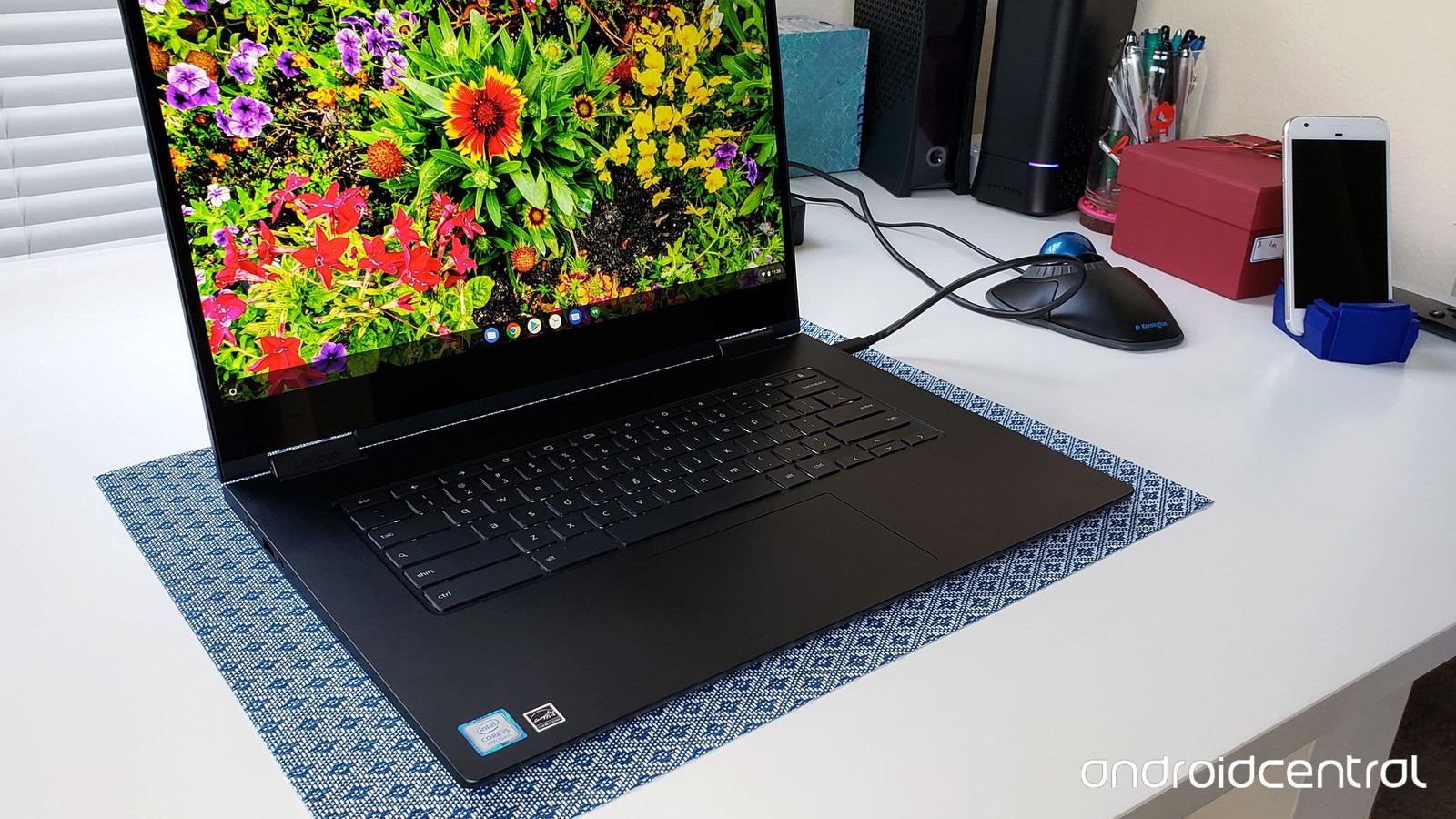 Wildflower Wallpaper - Chromebook - HD Wallpaper 
