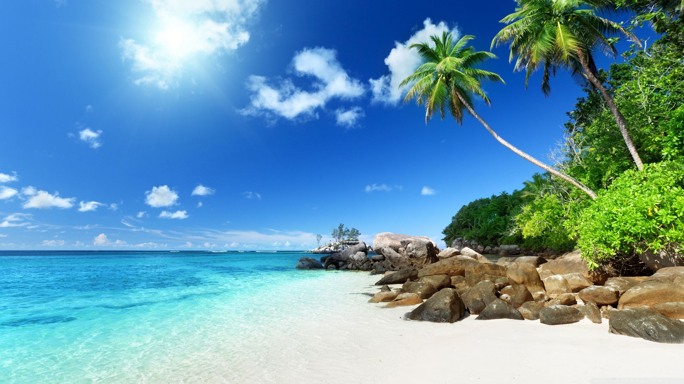 Standard 
 Data-src - Paradise Beach - HD Wallpaper 