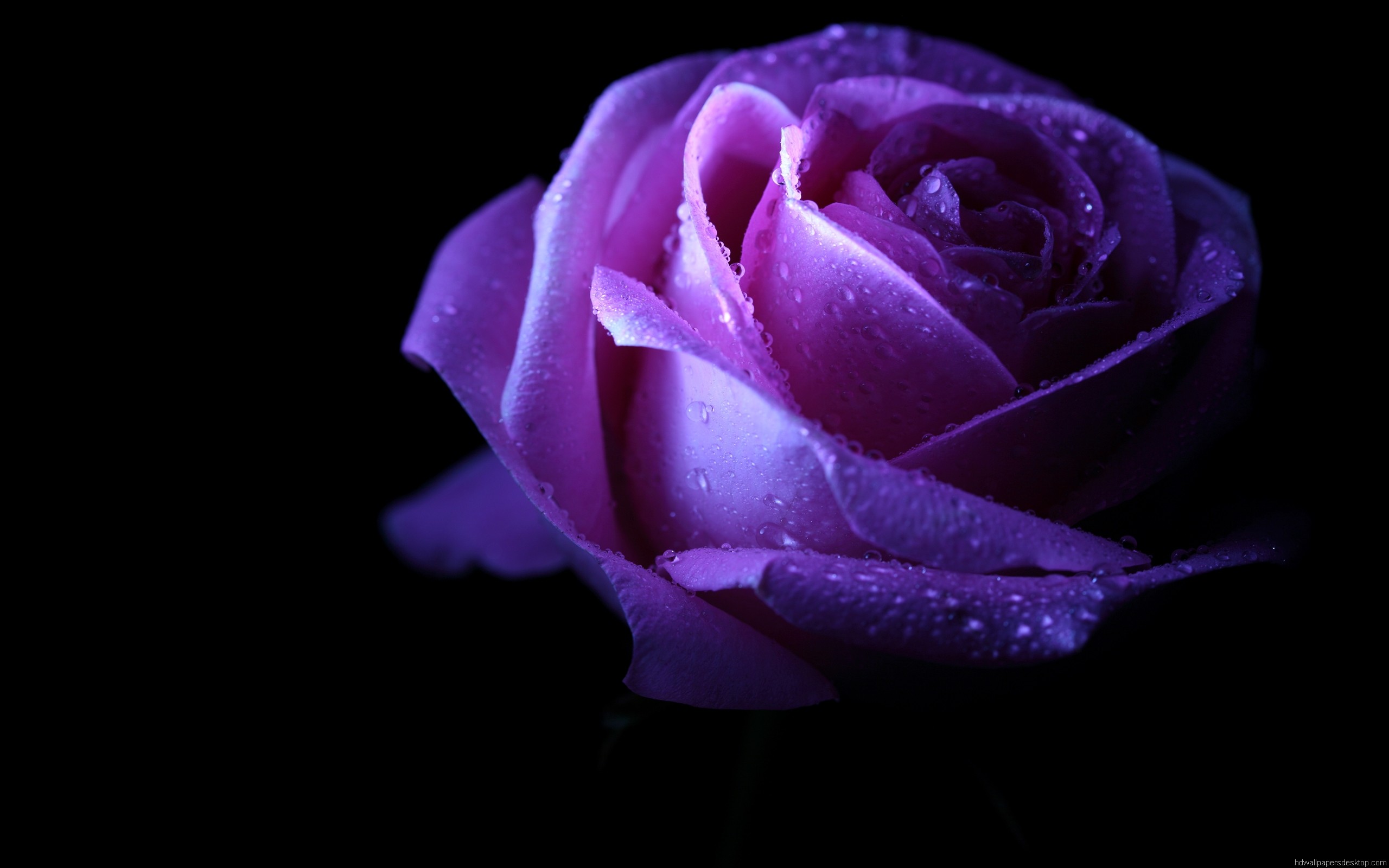 Deskop Wallpapers, Computer Backgrounds, Hd, Widescreen, - Wallpaper - HD Wallpaper 