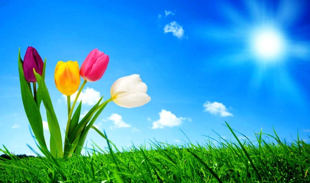 Good Morning Images In Bengali - HD Wallpaper 