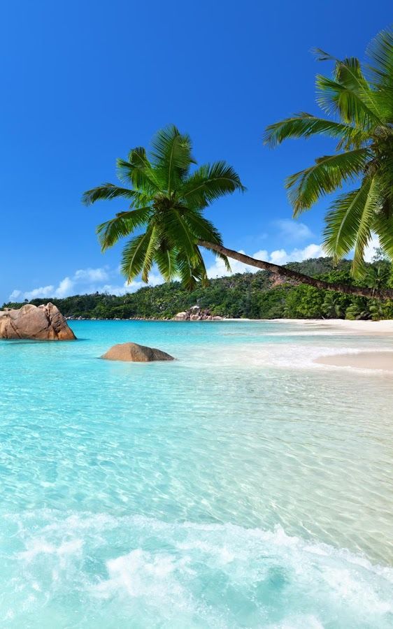 Tropical Beaches - HD Wallpaper 