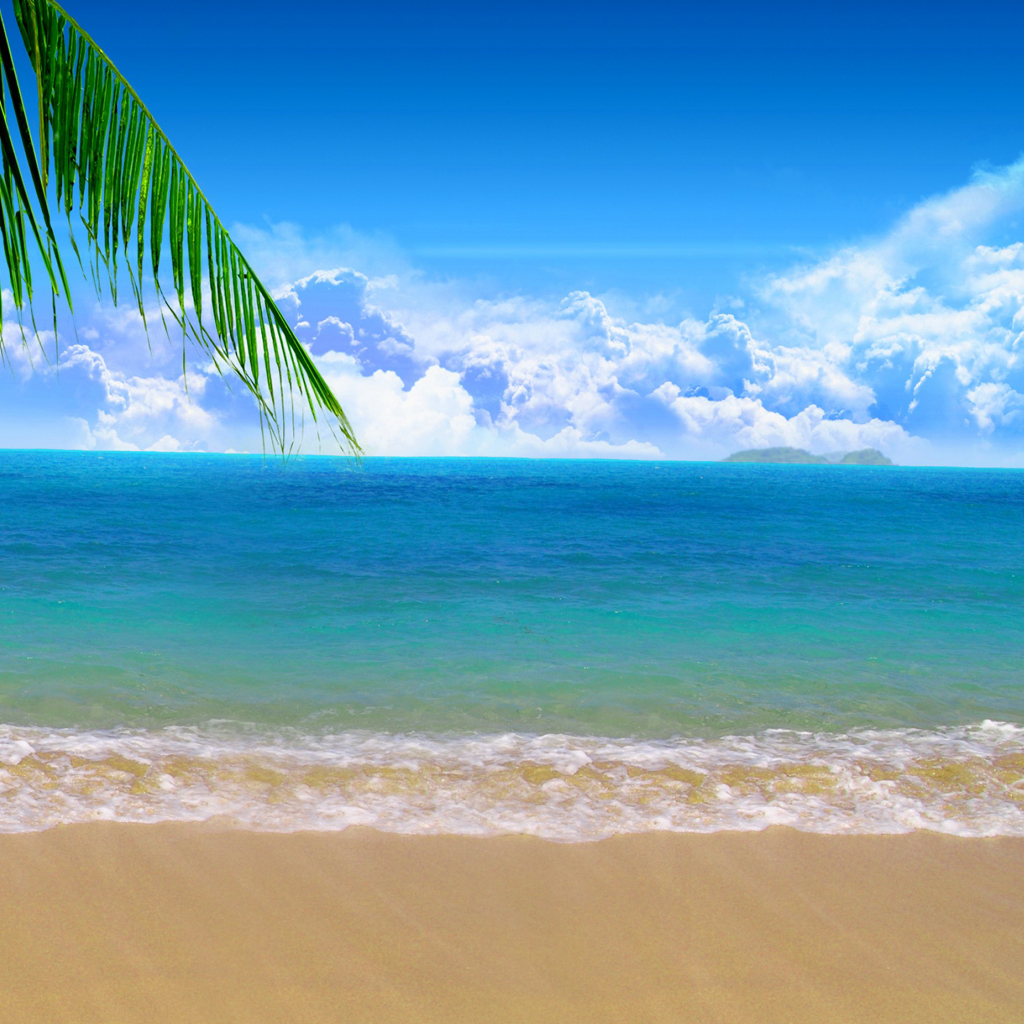 Beach Background - HD Wallpaper 