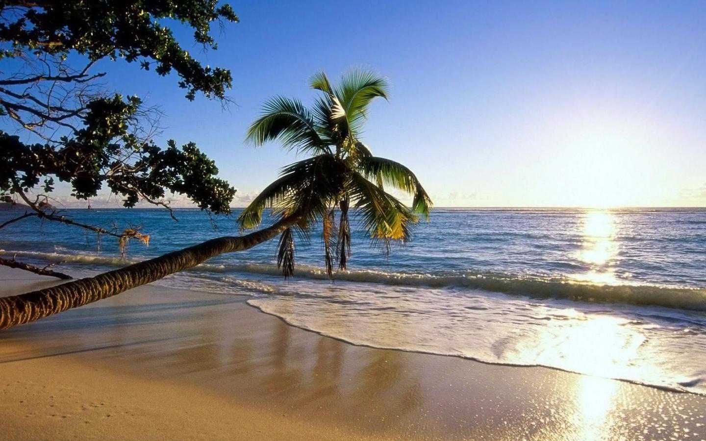 13 Free Beach Background Wallpapers 
 Data-src /full/30194 - Beautiful Island - HD Wallpaper 