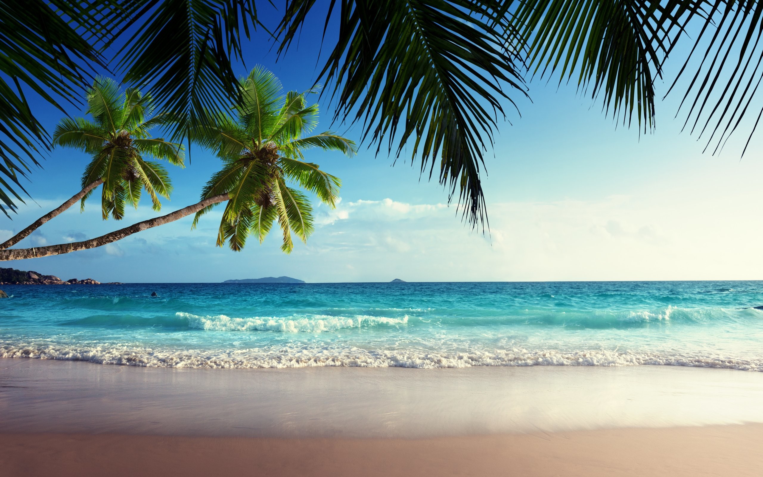 Tropical Beach Wallpaper - Tropical Beach Paradise - HD Wallpaper 