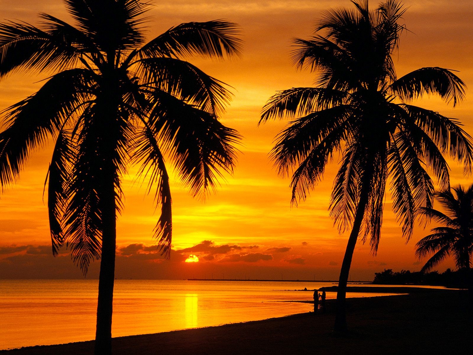 Beautiful Sunset View On Beach Wallpaper - Key West Coucher De Soleil - HD Wallpaper 