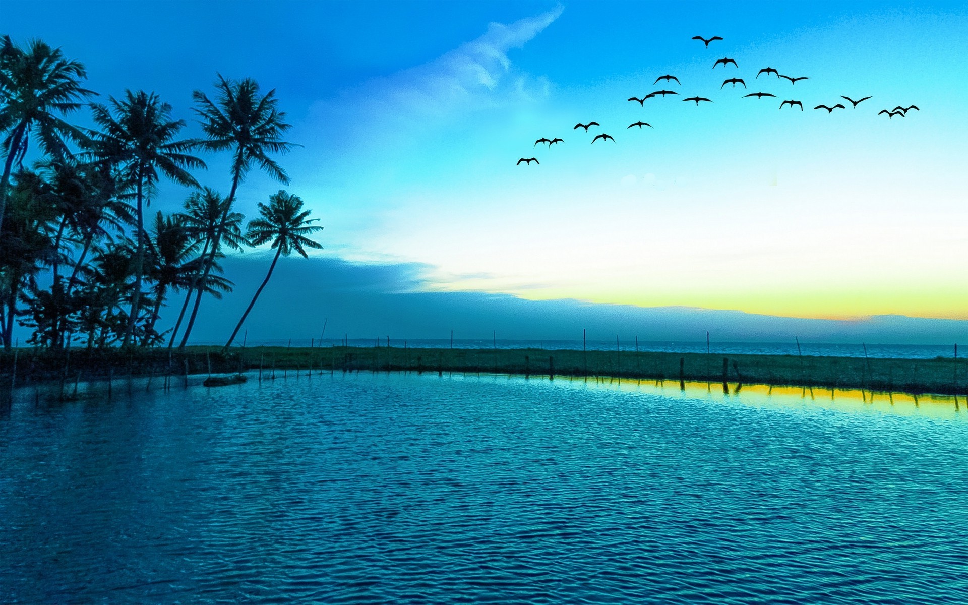 Sunrise With Flying Birds - HD Wallpaper 